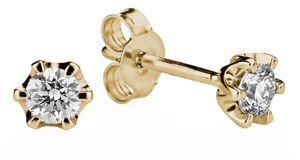 Tuotekuva TIMANTTIKORVAKORUT POLARIS