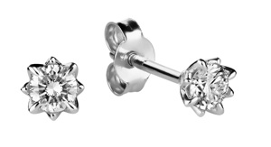 Tuotekuva TIMANTTIKORVAKORUT ROSA